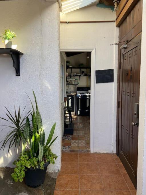 Jaguar Studio Tijuana Luaran gambar